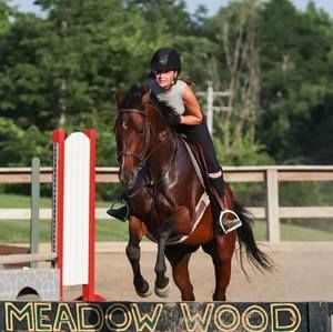 Meet your Posher, Jillian